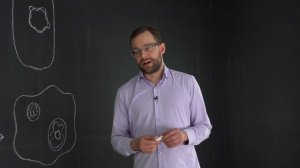 4.3 Где находится ДНК? Биоинженерия. Естествознание - 10 - 11 класс