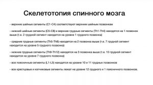 Спинной мозг, внешнее строение - анатомия центральной нервной системы (ЦНС)