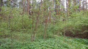 Белёв город - крепость Большой засечной черты.