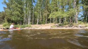 Сплав на сапбордах по р. Вуокса из Каменогорска в Лосево.