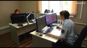 Женщина заблудилась в Лосином острове по пути в Королёв