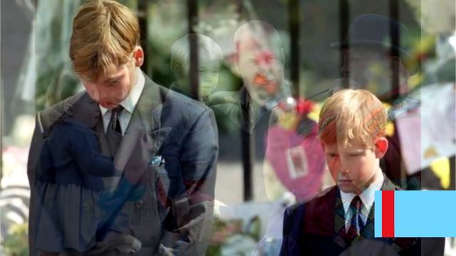 Вот какое обещание принц Уильям дал принцессе Диане сразу после развода смотреть онлайн