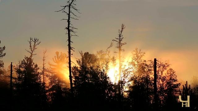 Я покажу тебе Сибирь. 1 часть / I Will Show You Siberia. Part 1 смотреть онлайн