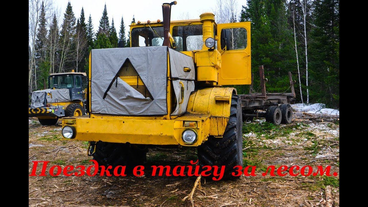 Поездка в тайгу за лесом смотреть онлайн