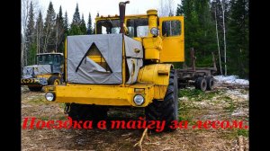 Поездка в тайгу за лесом