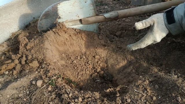 ПОРА РАБОТАТЬ смотреть онлайн