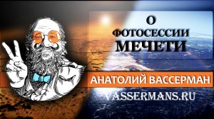 Вассерман выступил против уголовного преследования блогерши, устроившей фотосессию у мечети