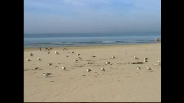 Юрий Мёдов Ты Свет Мой Ясный !!! смотреть онлайн