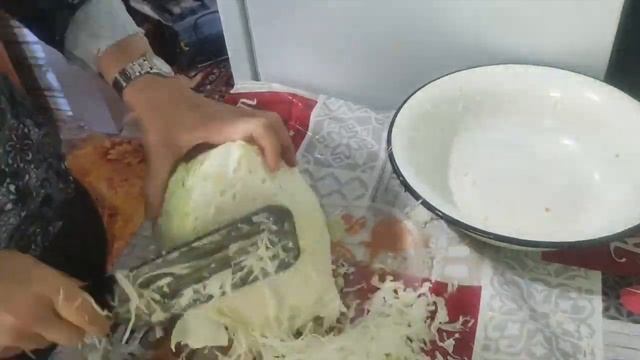 КАК ЖИВУТ ЛЕНИВЫЕ ПЕНСИОНЕРЫ В ДЕРЕВНЕ/ НАШИ ДЕРЕВЕНСКИЕ БУДНИ