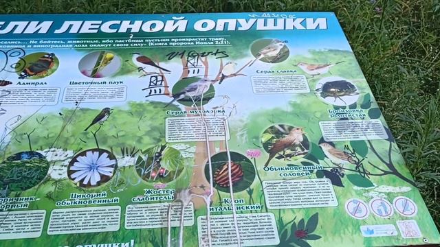 Ужасная экотропа Каменная горка Минск смотреть онлайн