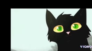 коты-воители. Пророчество Синей звезды. Начало, 1 глава.