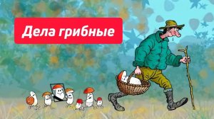 Дела грибные ...
