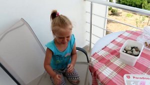 МОИ НОВЫЕ ПИТОМЦЫ. ЗАВЕЛА УЛИТОК НА КИПРЕ. Временный дом для улиток