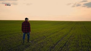 ОТ ПОЖЕЛТЕНИЯ ЛЮБОГО РАСТЕНИЯ НА ОГОРОДЕ ЛЬЮ ЭТО ПОД КОРЕНЬ! ХЛОРОЗ КАК РУКОЙ СНИМАЕТ!