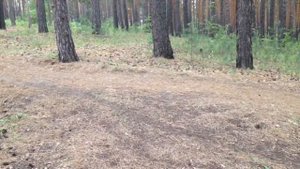 Мини даунхилл,Norco fluid 7.3 г.Бийск