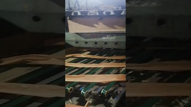 #leader #plywood #mdo #birch #wpc #furniture #construction #lvl #laminated#film faced plywood #osb смотреть онлайн