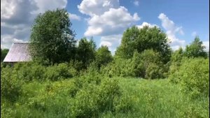 Участок 15 соток | Назия | Ленинградская область