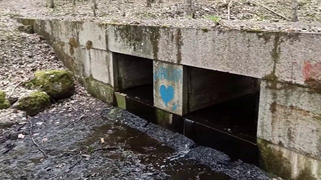 Каменные древности Сергиевки смотреть онлайн