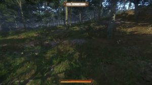 Охота на кабанов и половцев /10/ Kingdom Come Deliverance