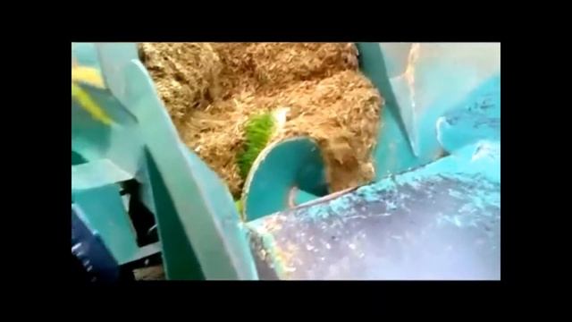 Работа шнекового смесителя для кормов. Гидропонный корм в кормосмеси.