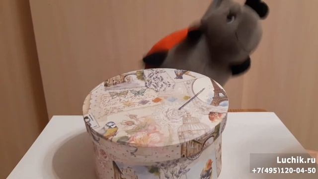 Онлайн занятия для детей: Музыкальная игра смотреть онлайн