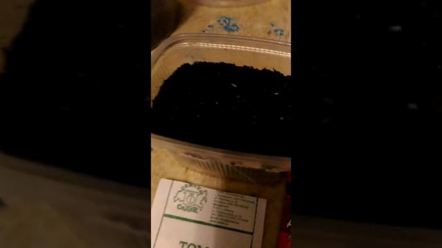 Де барао и Шапокляк. Посадка на рассаду. 18 марта смотреть онлайн