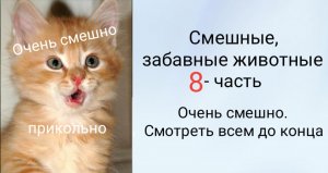 Смешные, забавные животные. 
8 - часть.
 Очень смешно. Смотреть всем до конца