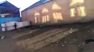 Мальчика укусил петух?