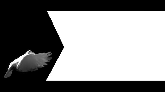 ŠKODA KAROQ: The new compact SUV смотреть онлайн