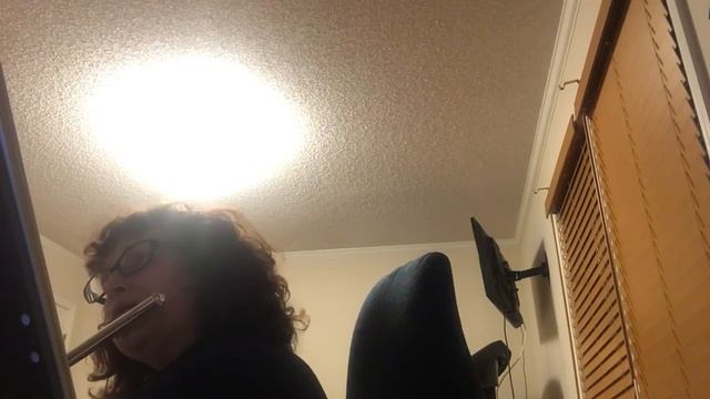 Andersen opus 33 Etude #21 for Flute with cameo meows by Tasha the Siamese cat смотреть онлайн