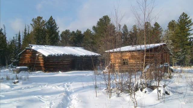 Охота на белку и соболя (сезон 2010-2011) смотреть онлайн