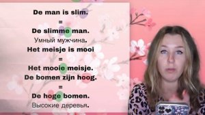 Учим прилагательные. Bijvoeglijke naamwoorden. Нидерландский язык. Урок 27