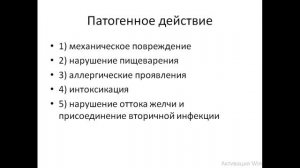 кошачий сосальщик (Opisthorchis felineus)