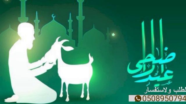 شيلة عيد الاضحى خطيرة جدا???طرب اجرامية | افضل شيلات حماسية للعيد|2022❤️ смотреть онлайн