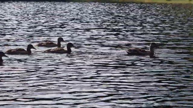 aqua marina caliber fishing kayak смотреть онлайн