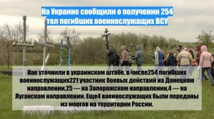 На Украине сообщили о получении 254 тел погибших военнослужащих ВСУ