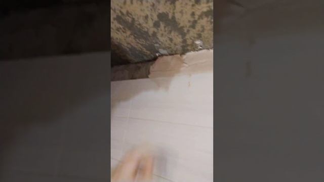 натяжной потолок в ванной #ремонтваннойкомнаты смотреть онлайн