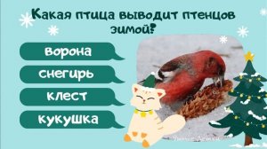Викторина "ЗИМА" для детей 5-6 лет
