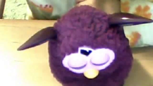 Ура!Ура!Он это сделал.....Маленький Ферблинг и Обычный Ферби