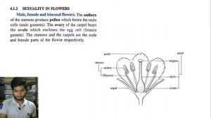 Biology | ICSE | Class 9th | Chapter 2 |  The  Flower By RS LEARNING