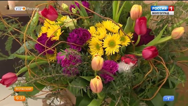В Волжском открылся «Цветочный вернисаж» смотреть онлайн