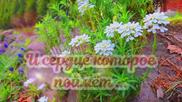 ?Берегите себя и своих близких?Красивое музыкальное пожелание доброго утра?Желаю мира и добра!