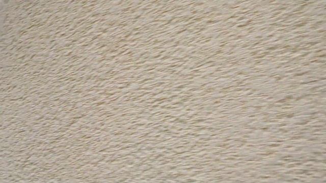 Мокрый фасад утепленный дом смотреть онлайн