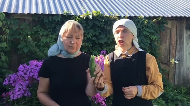 Огород вместо больницы. смотреть онлайн