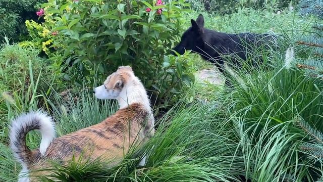 Сезон Волчьей рыбалки смотреть онлайн
