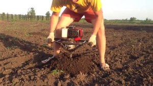 Мотобур. Как «садят» виноград под мотобур