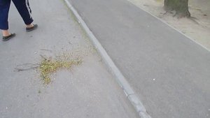 Метла метёт. 0+100-