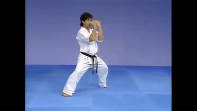 Кёкусинкай Карате/ Ката- Сейнтин/Kyokushin Karate/Kata Seienchin смотреть онлайн