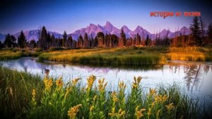 СЫНОК ДАВАЙ СНАЧАЛО С НЕЙ А ПОТОМ СО МНОЙ | Истории из жизни