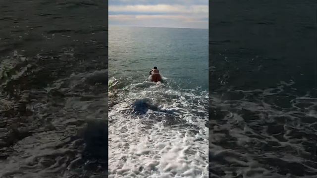 03.12.2023. Погода в Сочи в декабре. Смотри на Чёрное море каждый день. #черноеморекаждыйдень